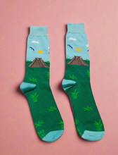 Load image into Gallery viewer, Fun Mexican Socks