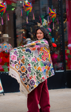 Load image into Gallery viewer, “Hueyapan" Hand-Embroidered Rebozo