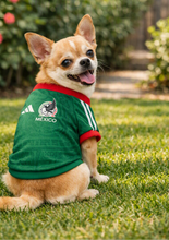 Load image into Gallery viewer, Mexico Green Soccer Jersey for Dogs &amp; Cats – Mexican Football Design
