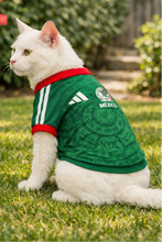 Load image into Gallery viewer, Mexico Green Soccer Jersey for Dogs &amp; Cats – Mexican Football Design
