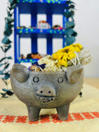 Pig Clay Dish