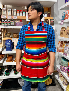 Mexican Sarape Apron